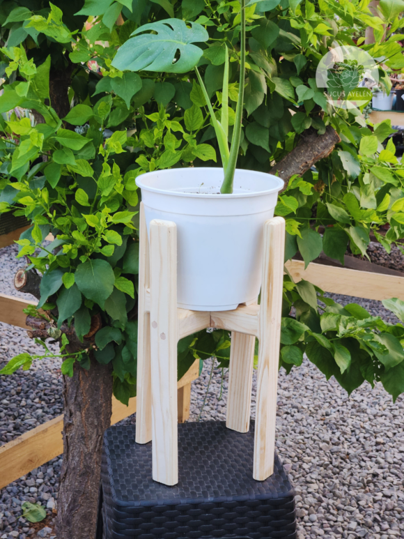 Portamacetero Madera 40x20cm