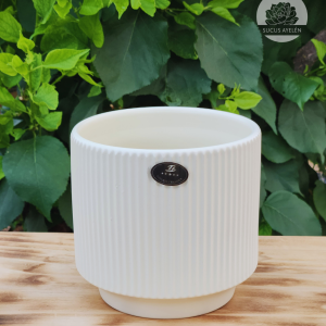 Maceta Ceramica 13x13CM