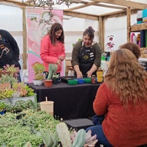 🌵 Taller Online de Cuidado de Suculentas 🌿- 1,5hrs